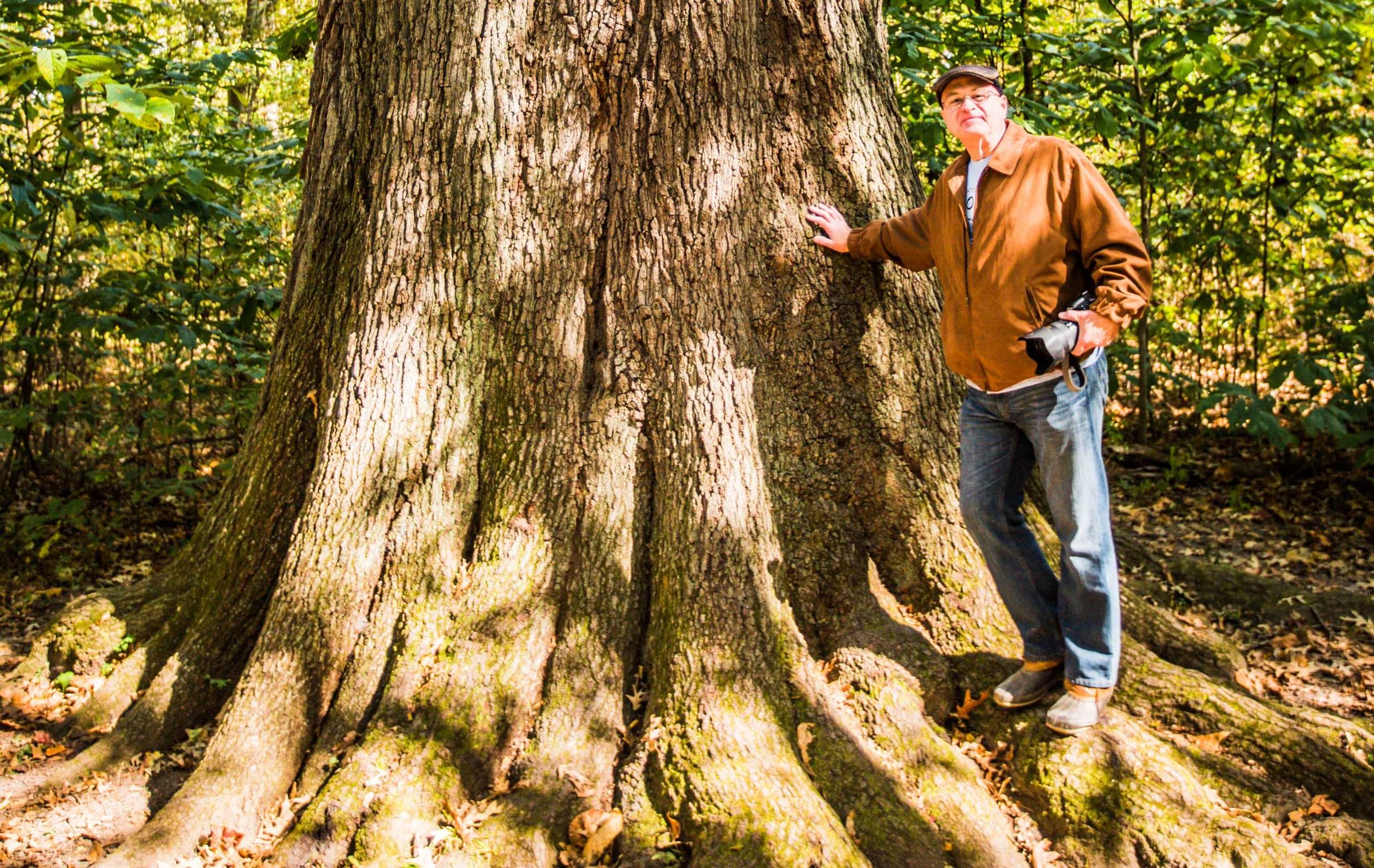 Ein Mann lehnt sich an die "State Champion Cherrybark Oak" in den Cache River Wetlands