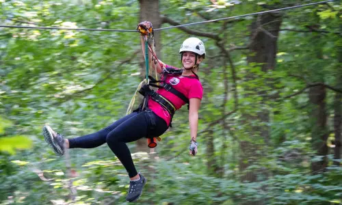 Canopy Tour