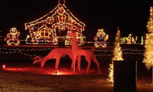 Rentiere und andere festliche Lichtspiele