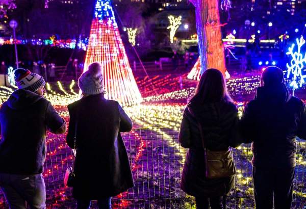 Menschen, die sich die Lichtspiele im Lincoln Park Zoo ansehen