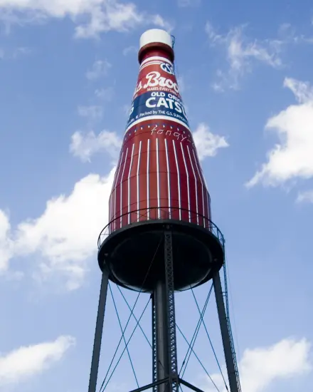 Die riesige Brooks-Catsup-Flasche vor blauem Himmel in Collinsville