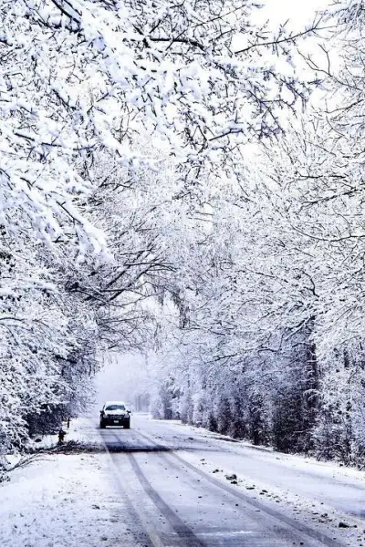 Auto auf der Straße mit schneebedeckten Bäumen auf beiden Seiten