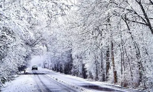 Auto auf der Straße mit schneebedeckten Bäumen auf beiden Seiten