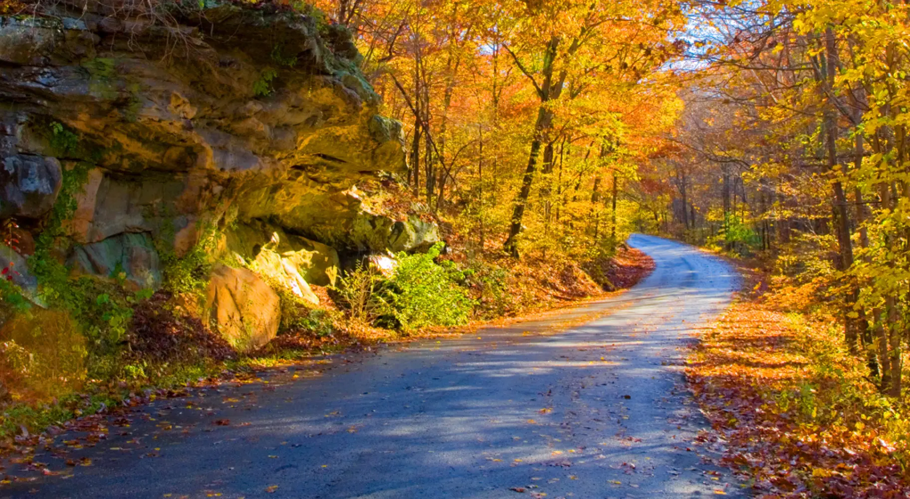 Eine Straße mit Bäumen