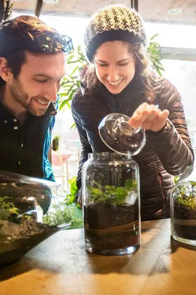 Ein Paar betrachtet bepflanzte Terrarien bei Sprout Home in Chicago