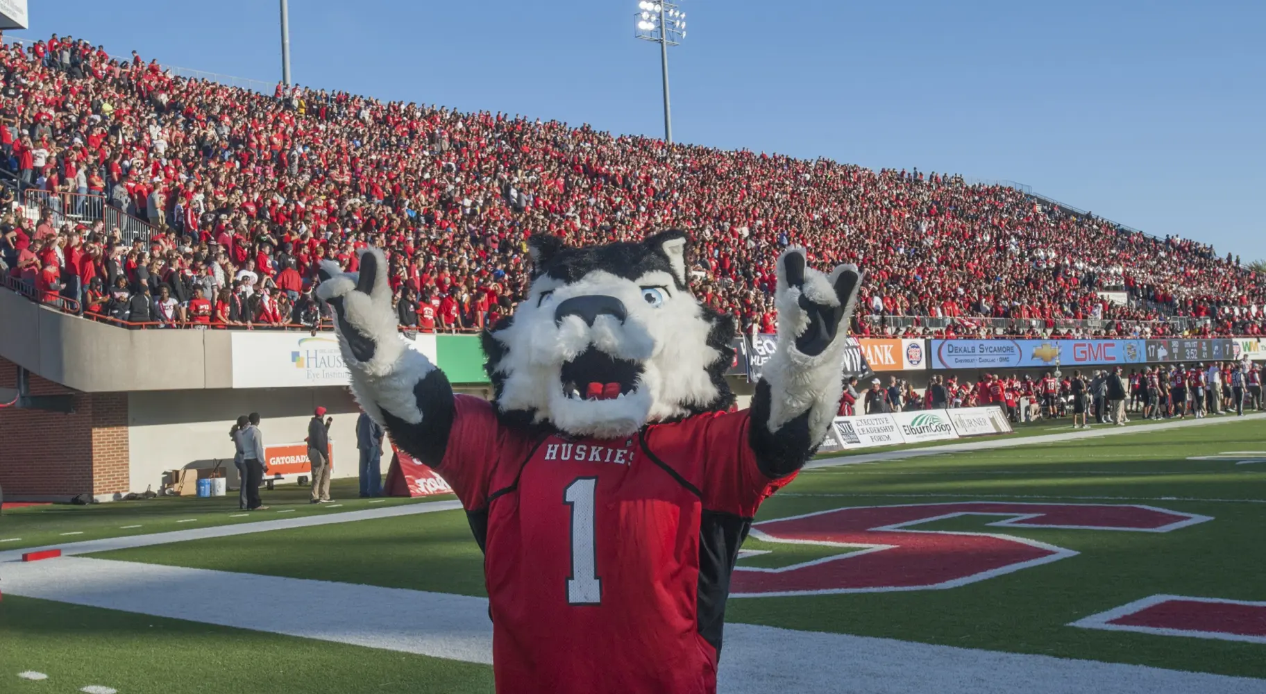 Das Hundemaskottchen der Northern Illinois University Huskies bei einem wichtigen Footballspiel